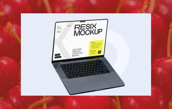 E-Commerce Store Design (WordPress)